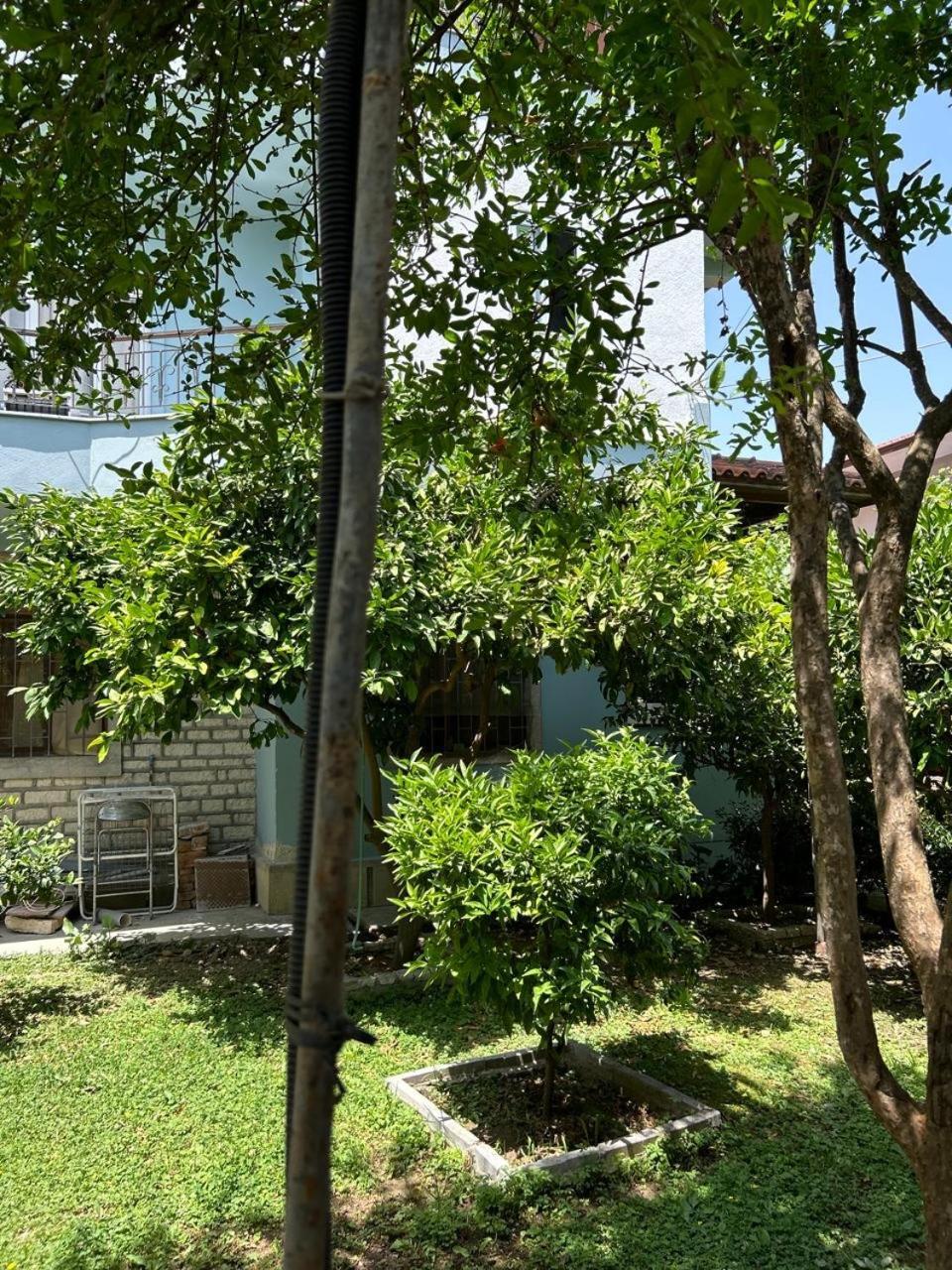 Guesthouse Katerina Berat Dış mekan fotoğraf