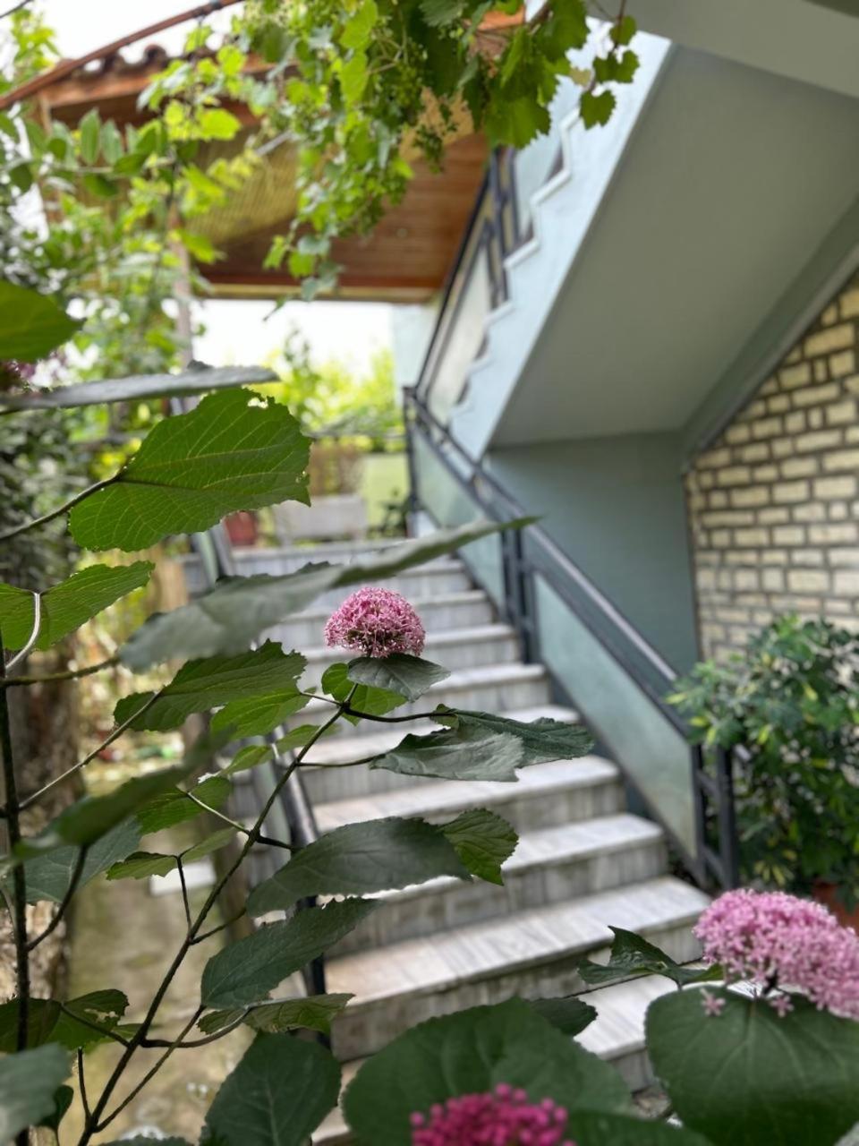 Guesthouse Katerina Berat Dış mekan fotoğraf