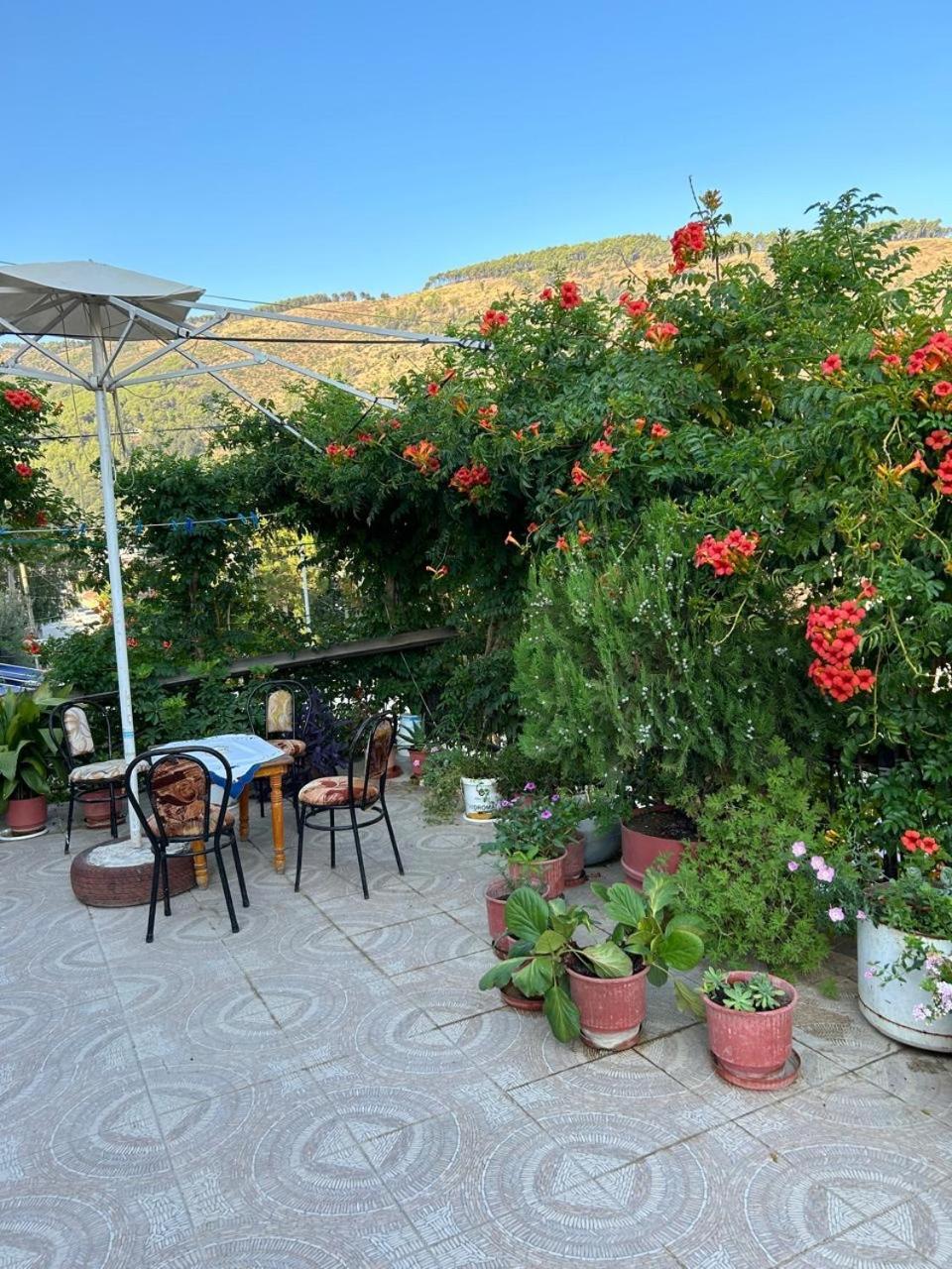 Guesthouse Katerina Berat Dış mekan fotoğraf