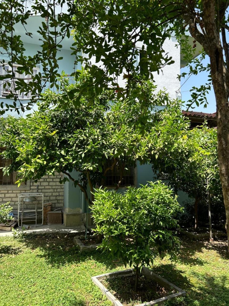 Guesthouse Katerina Berat Dış mekan fotoğraf